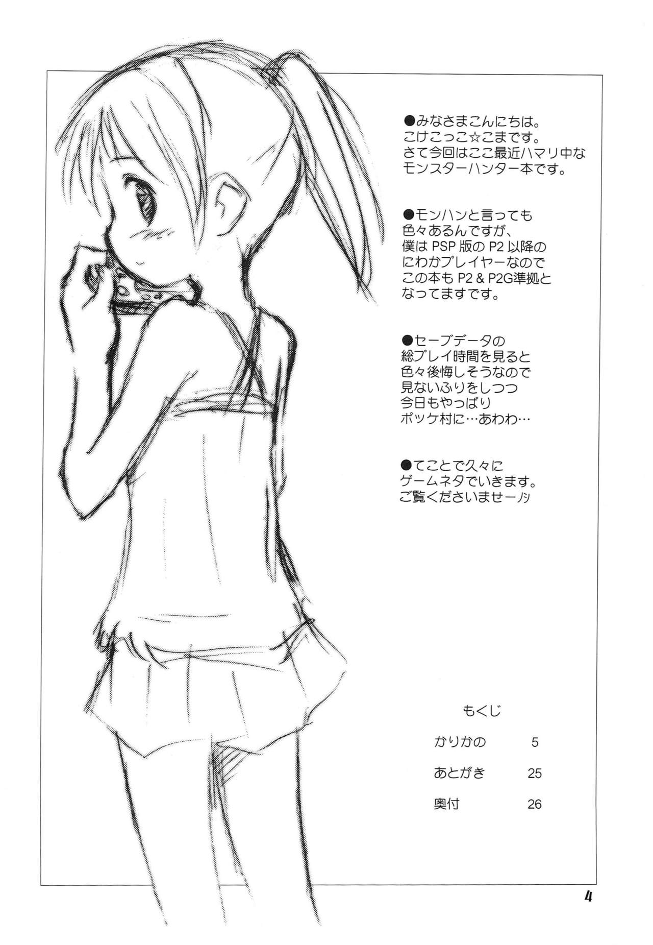 Preview page 3