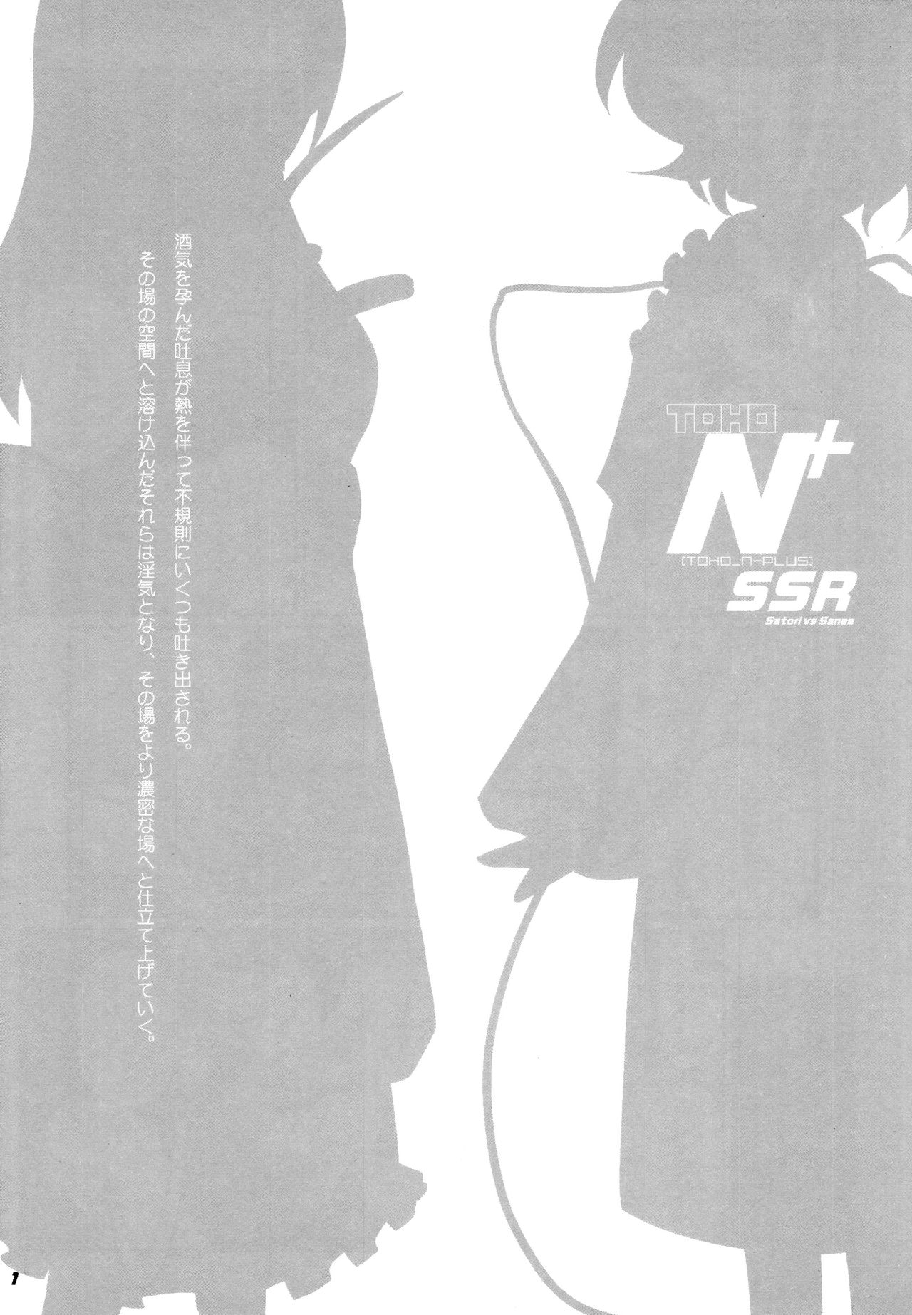 TOHO N+ SSR - Page 2