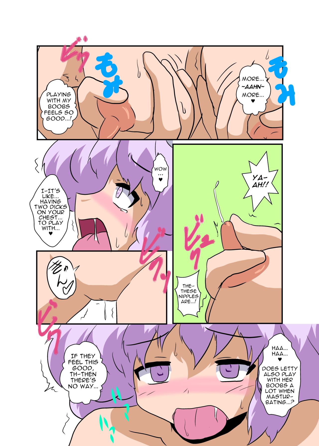 Touhou TS Monogatari ~Letty-Hen~ - Page 13