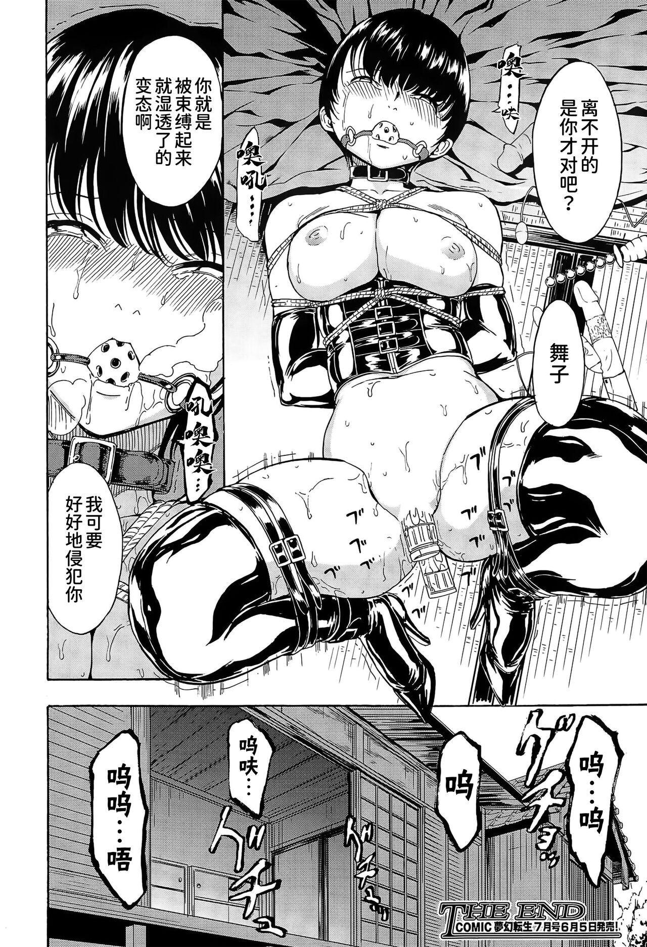 Maiko - Page 20
