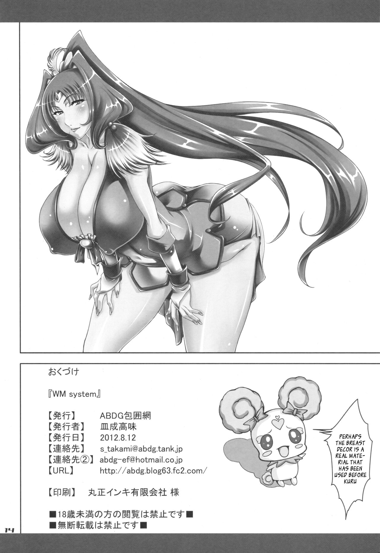 WM System - Page 13