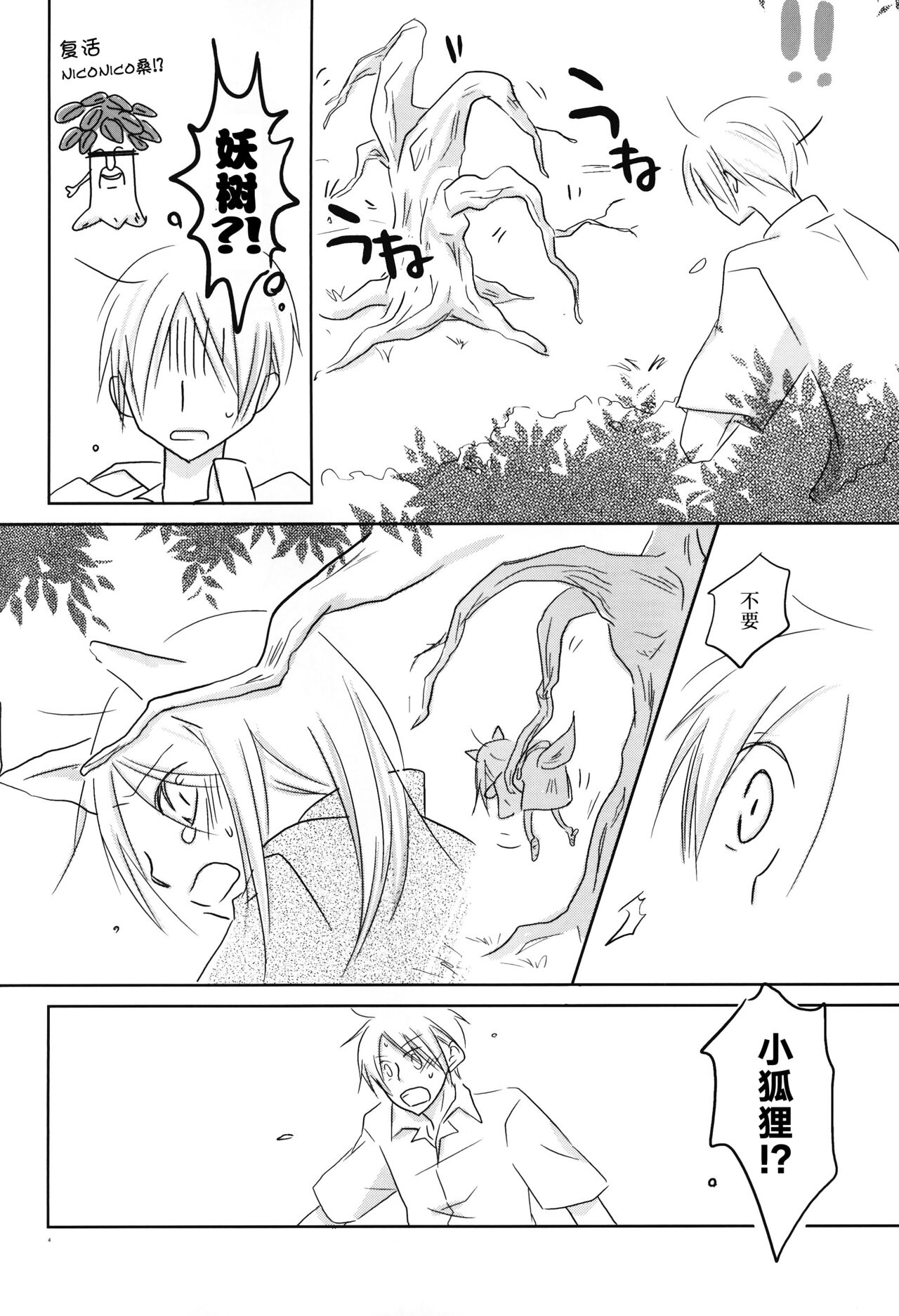 Kogitsune no Ongaeshi - Page 3
