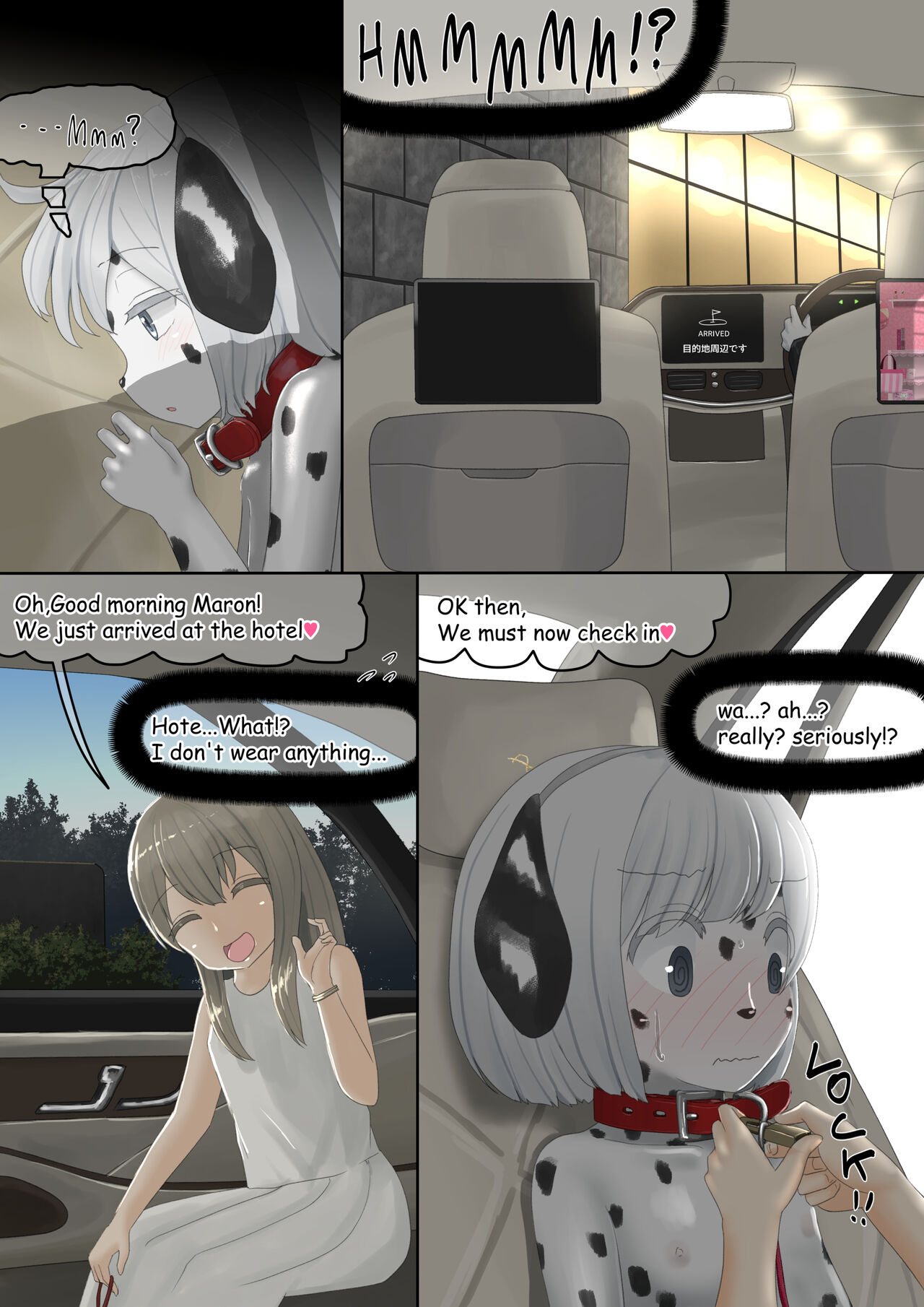 dog - Page 31