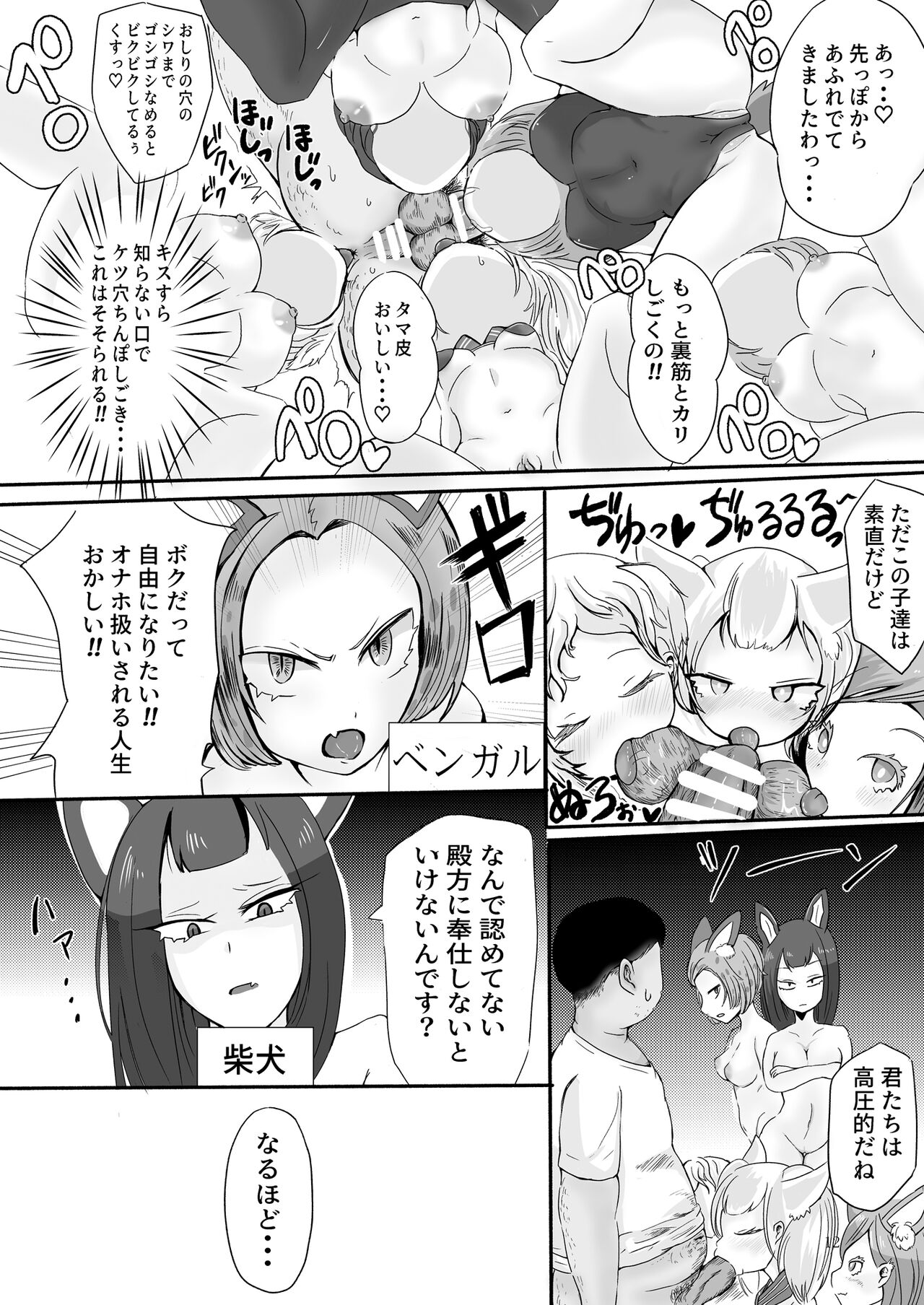 OnaPet Shop - Page 11