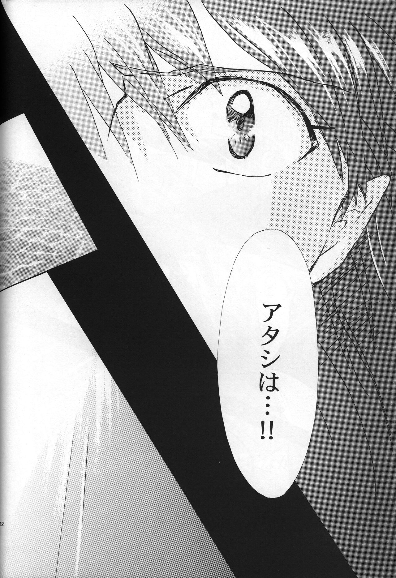 <Shinyaku> neon genesis -DocumentＡ- - Page 23