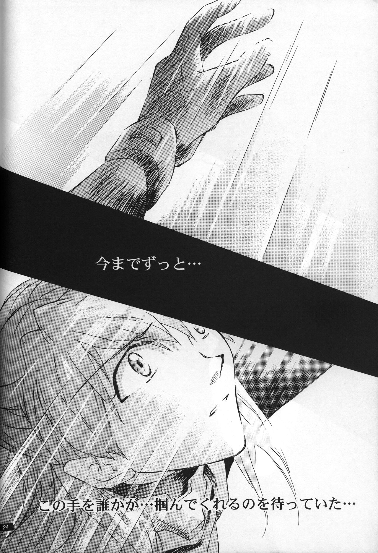 <Shinyaku> neon genesis -DocumentＡ- - Page 25