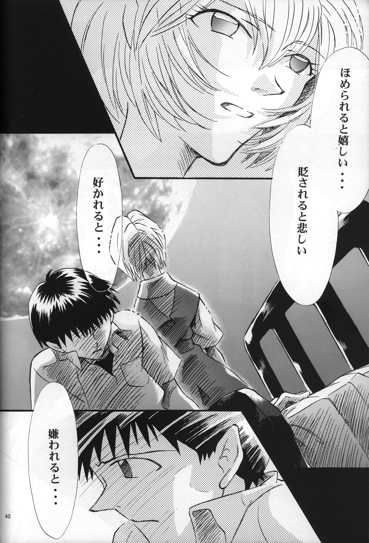 <Shinyaku> neon genesis -DocumentＡ- - Page 41