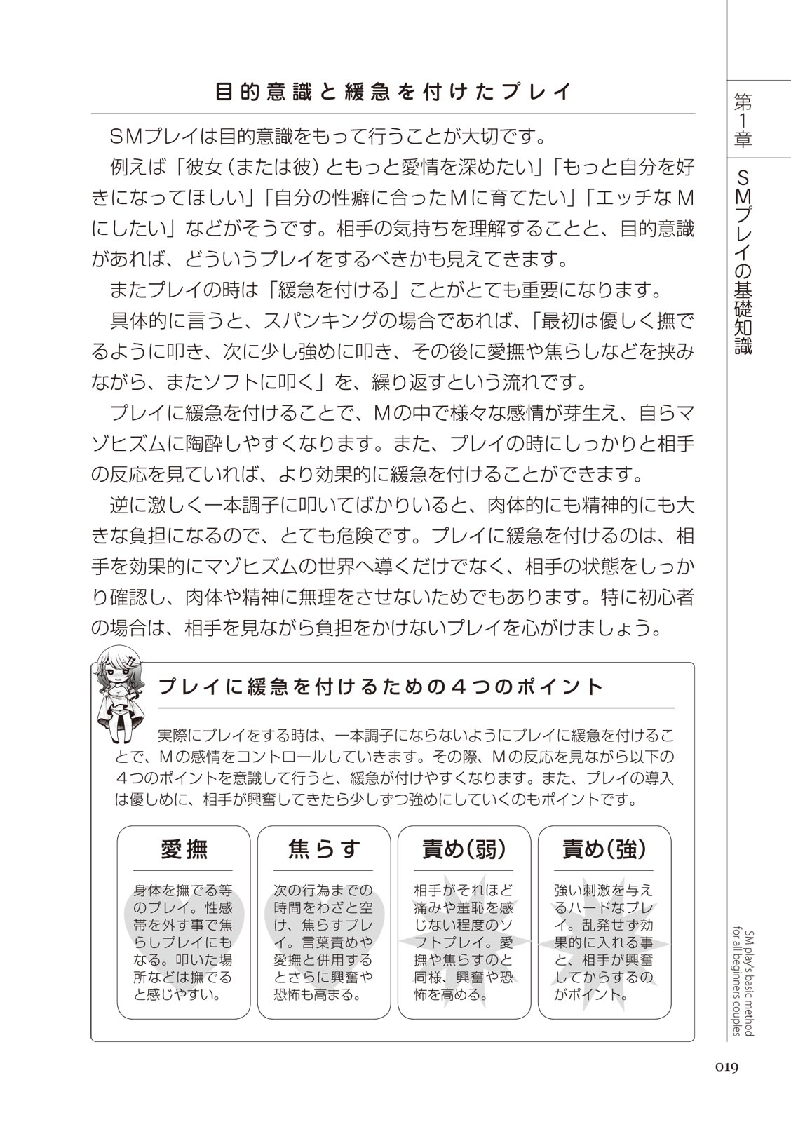 いますぐデキる 図説SMプレイマニュアル - Page 19