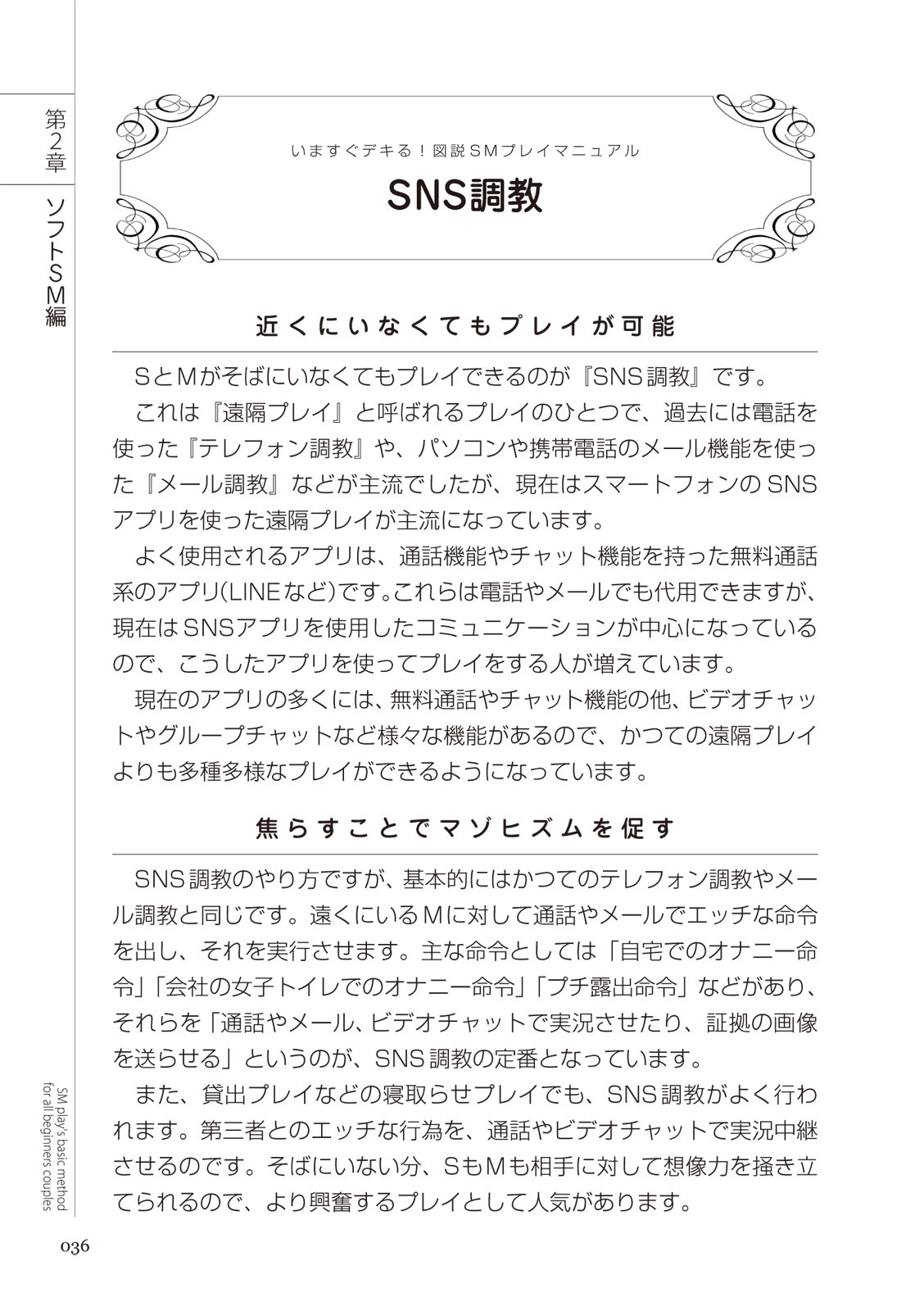 いますぐデキる 図説SMプレイマニュアル - Page 36