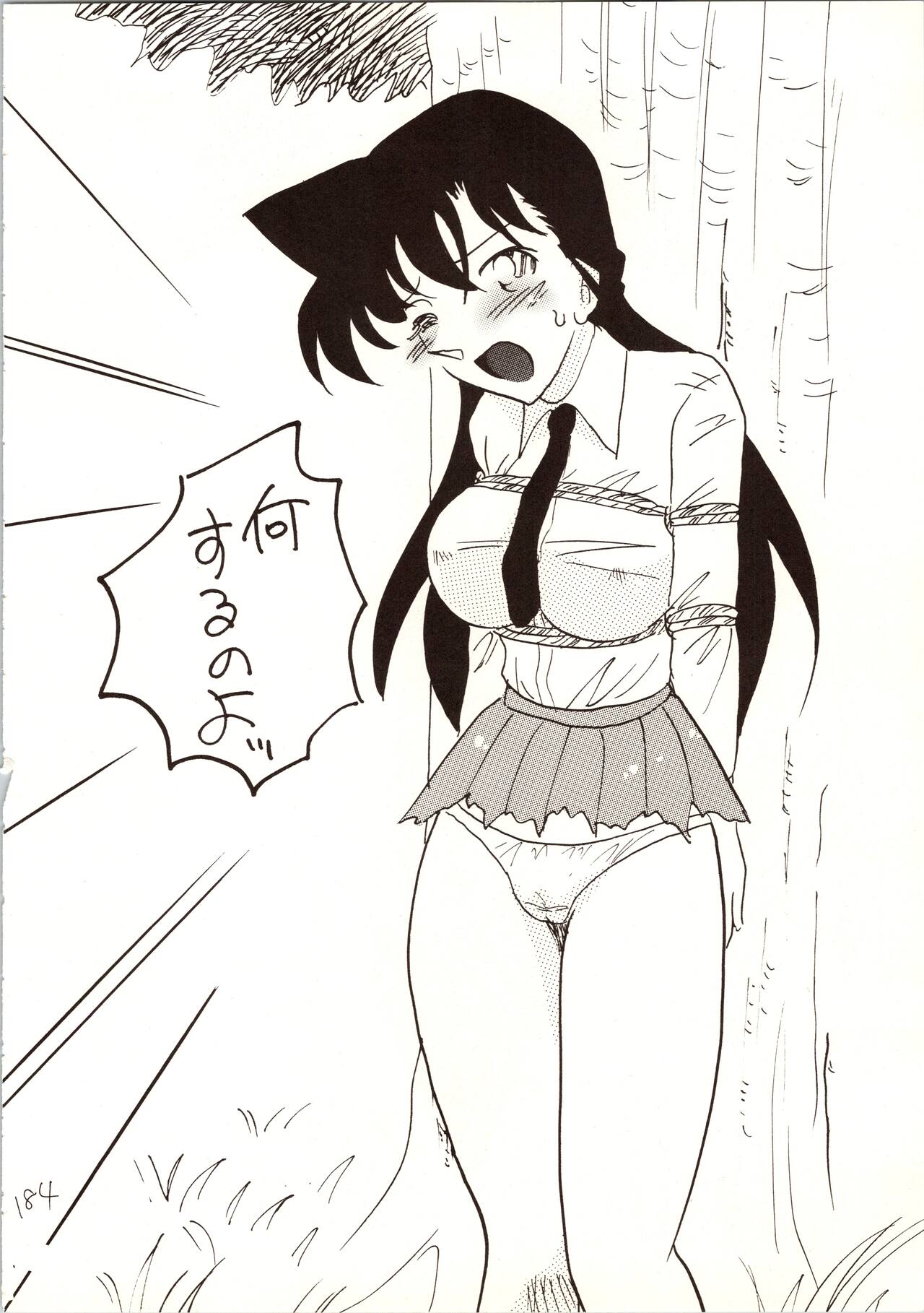 Meitantei DX - Page 184