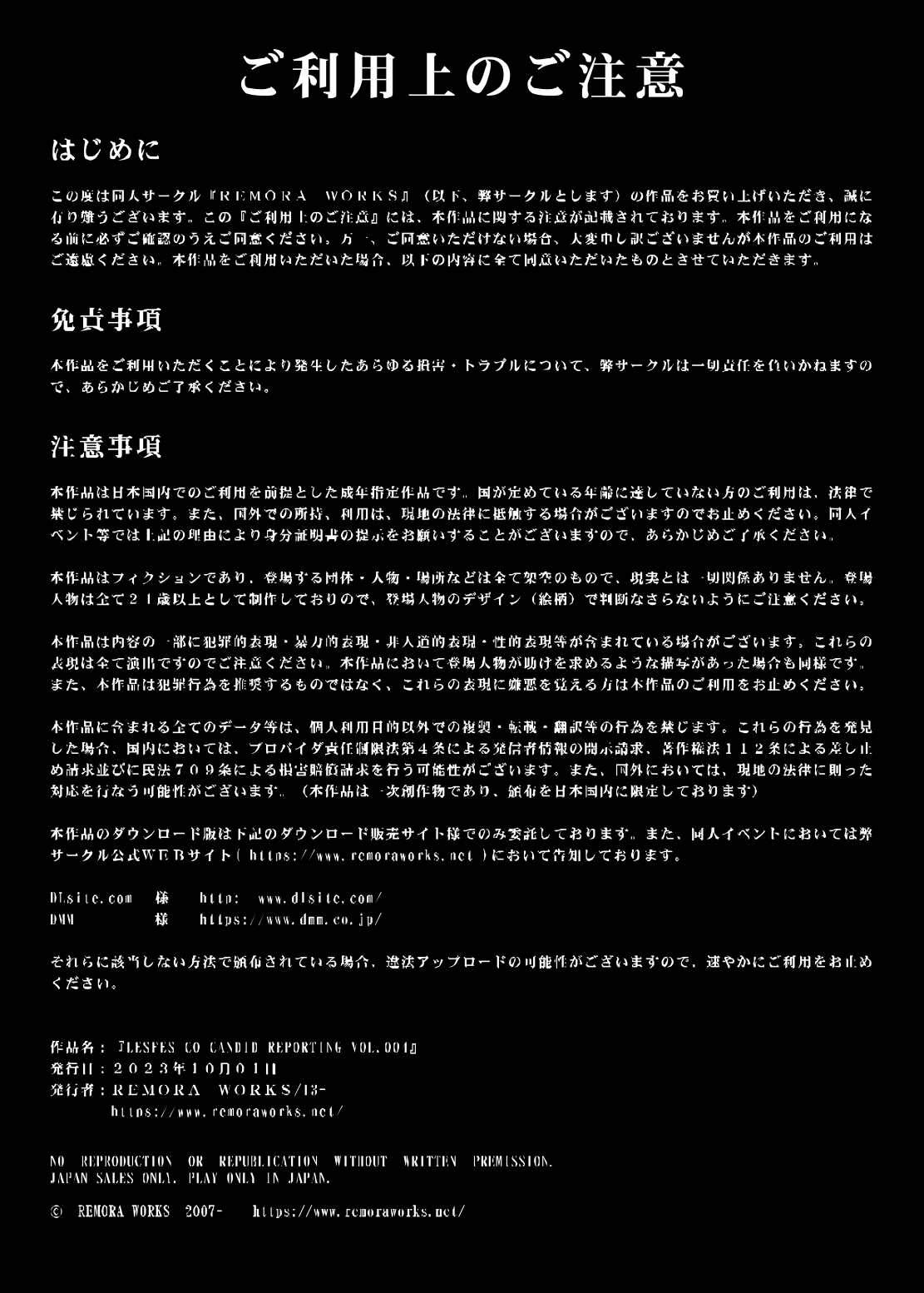 LesFes Co Candid Reporting Vol. 004 - Page 2
