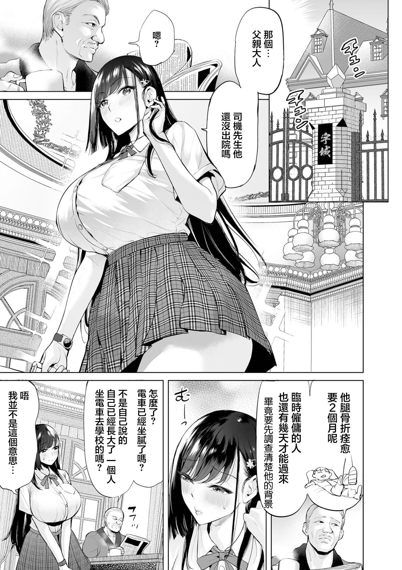 Ojou-sama Chikan Train | 大小姐的癡漢列車 - Page 9