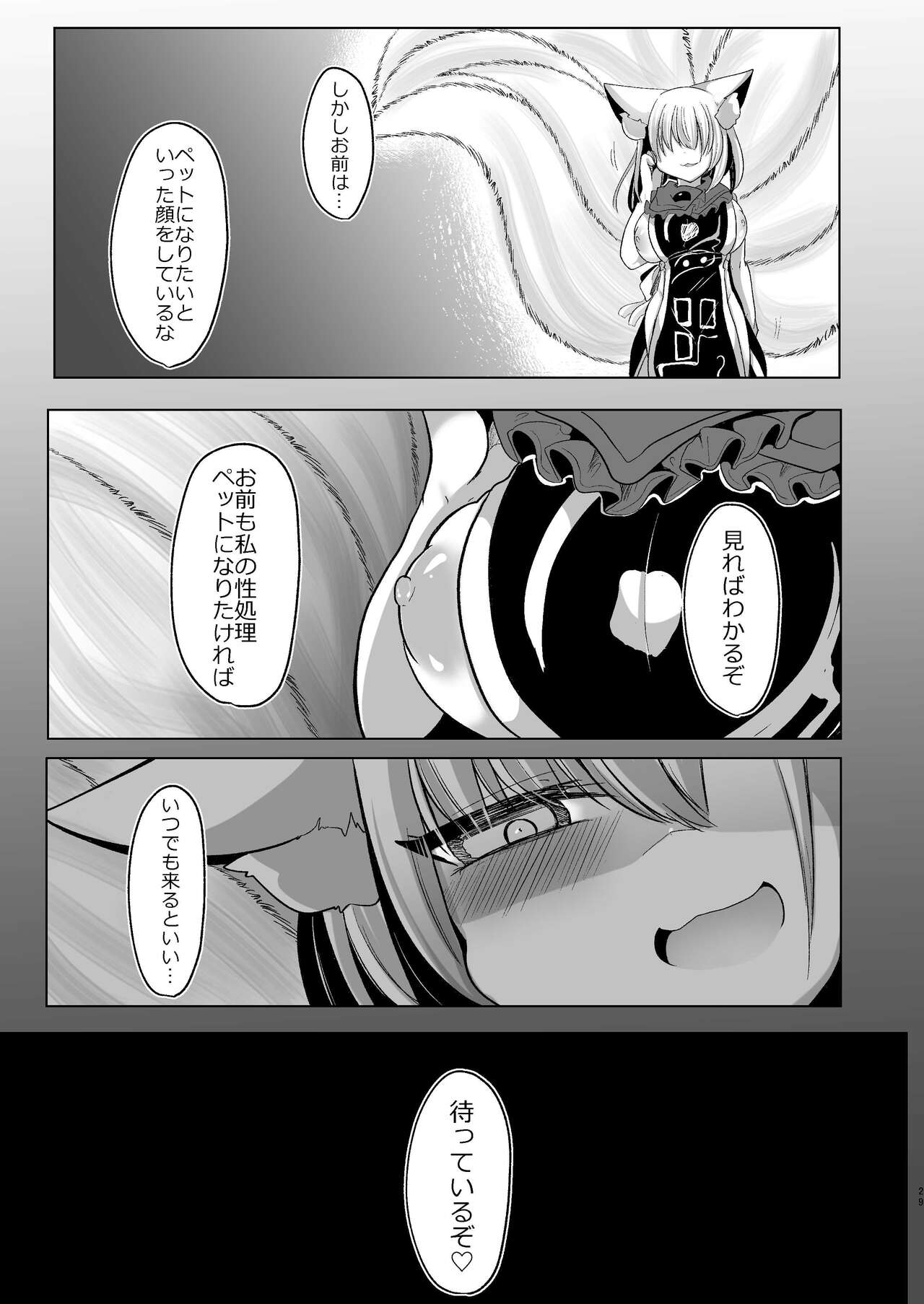 八雲藍が性処理ペットと戯れる本 - Page 29
