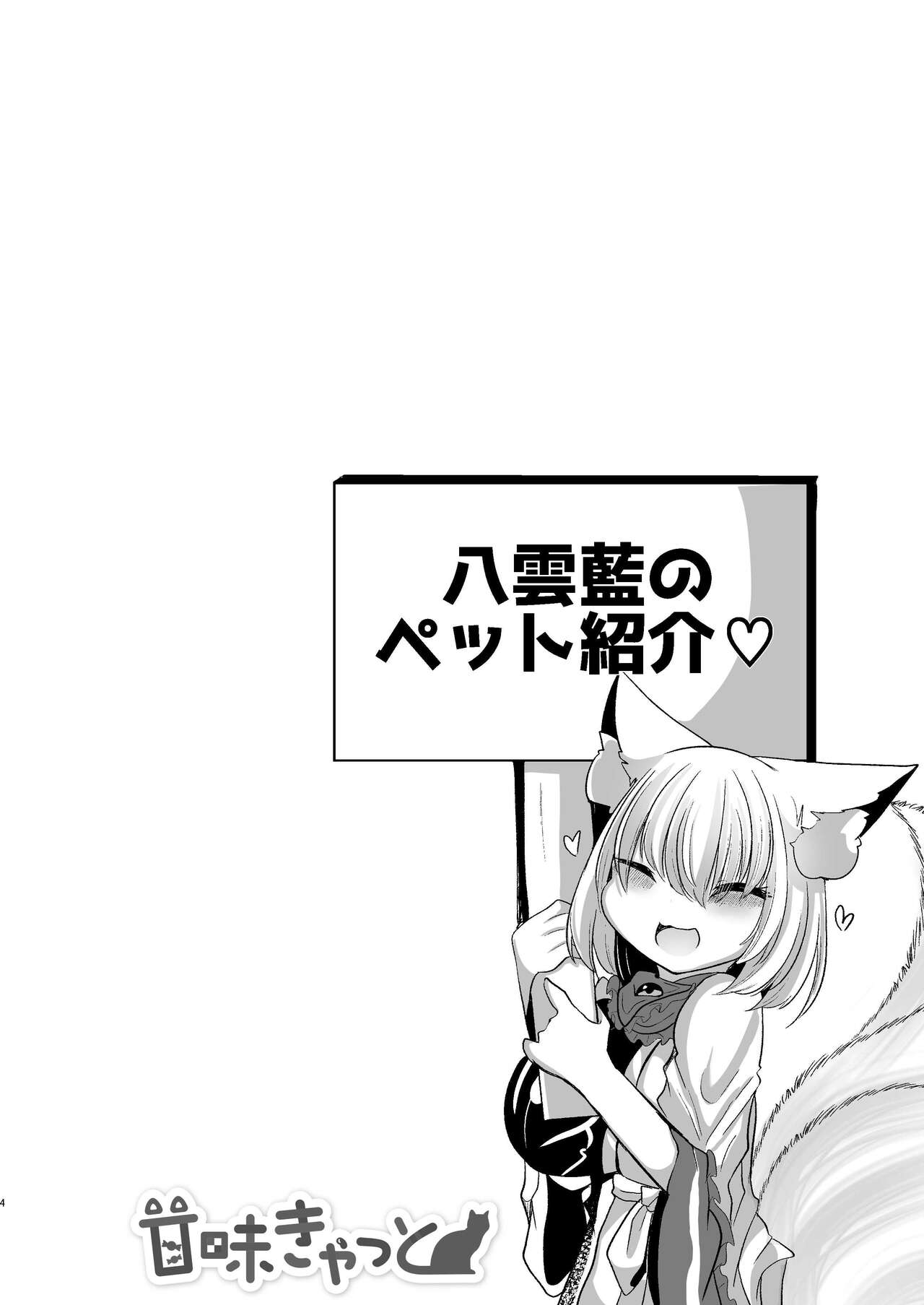 八雲藍が性処理ペットと戯れる本 - Page 4