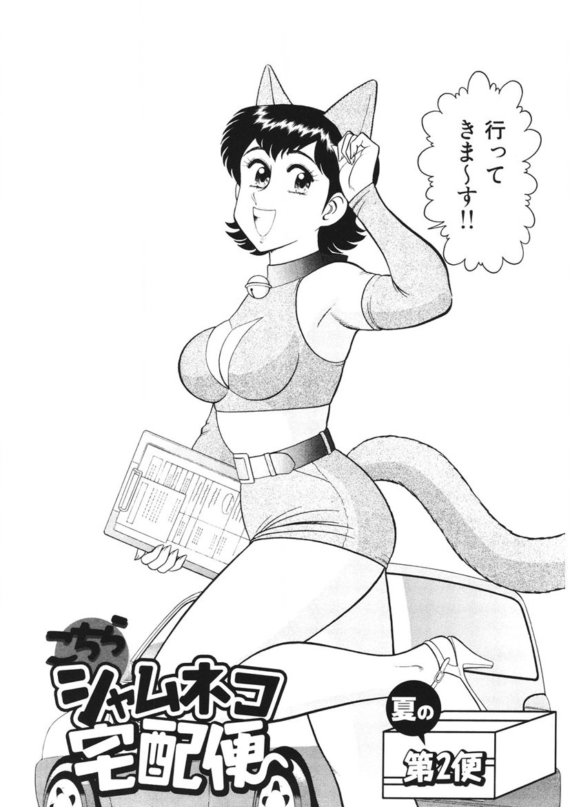 Shamese's Delivery Service - Page 15