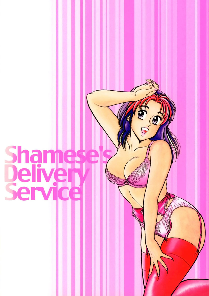 Shamese's Delivery Service - Page 217