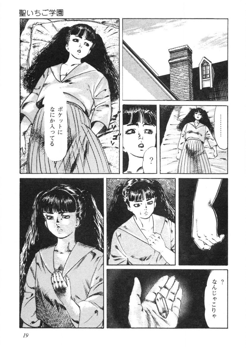 Sei Ichigo Gakuen - Page 20