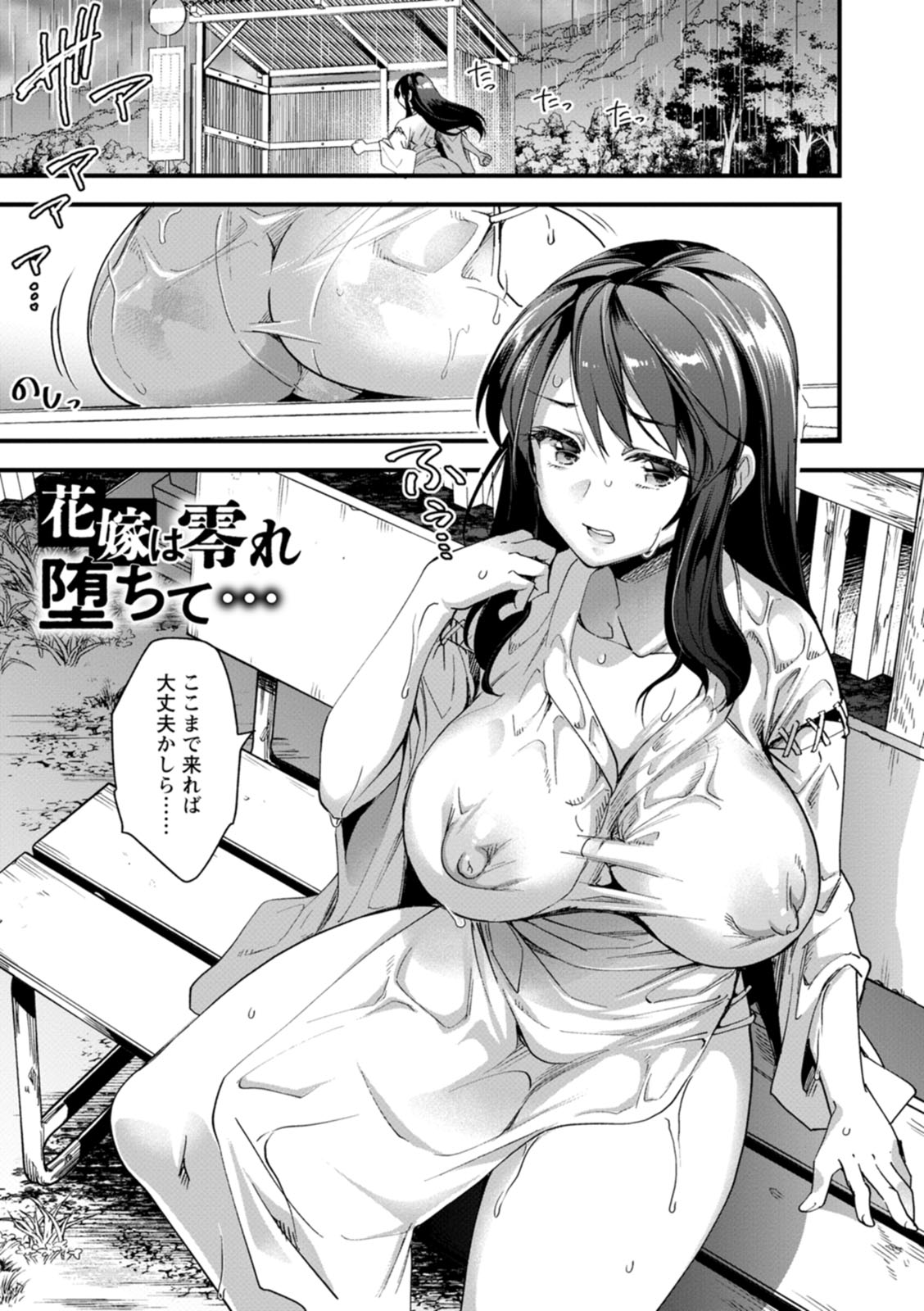 Mesu no rakuin - Page 29