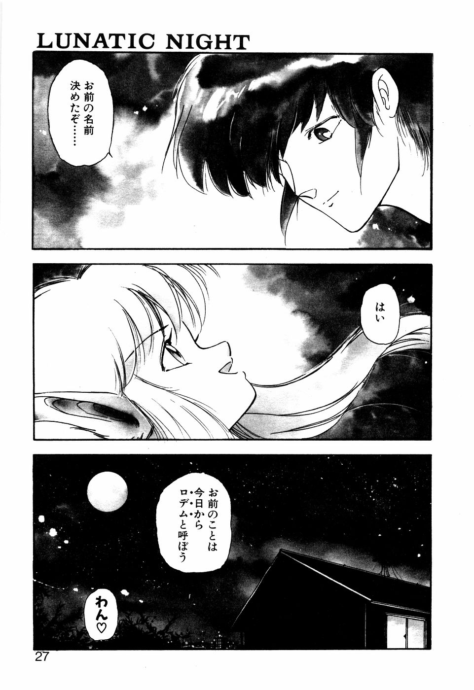 LUNATIC NIGHT I - Page 26