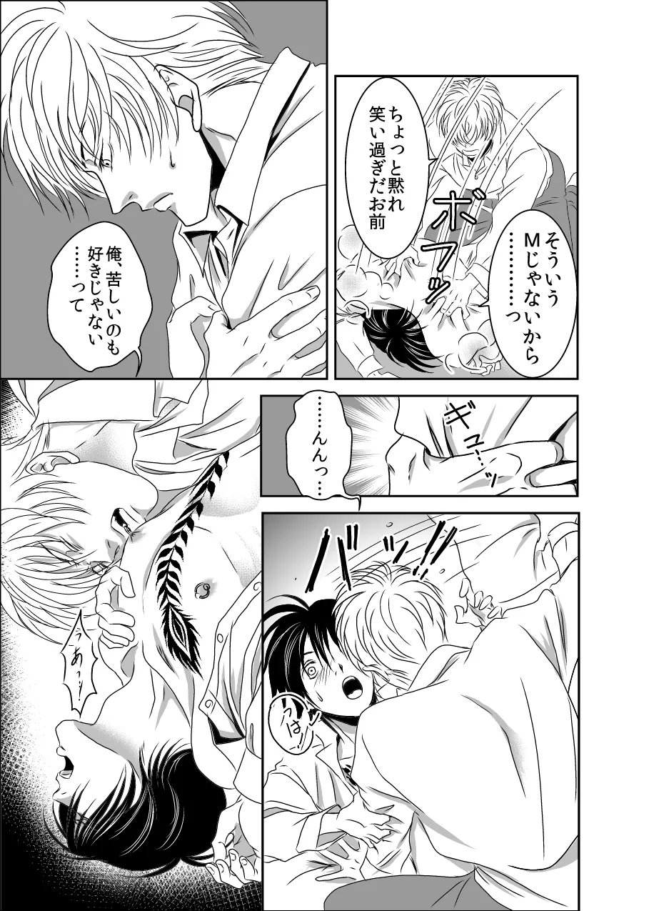 黒孔雀は囚われる。 SIDE-S - Page 19