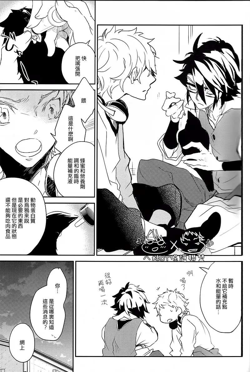 Preview page 8