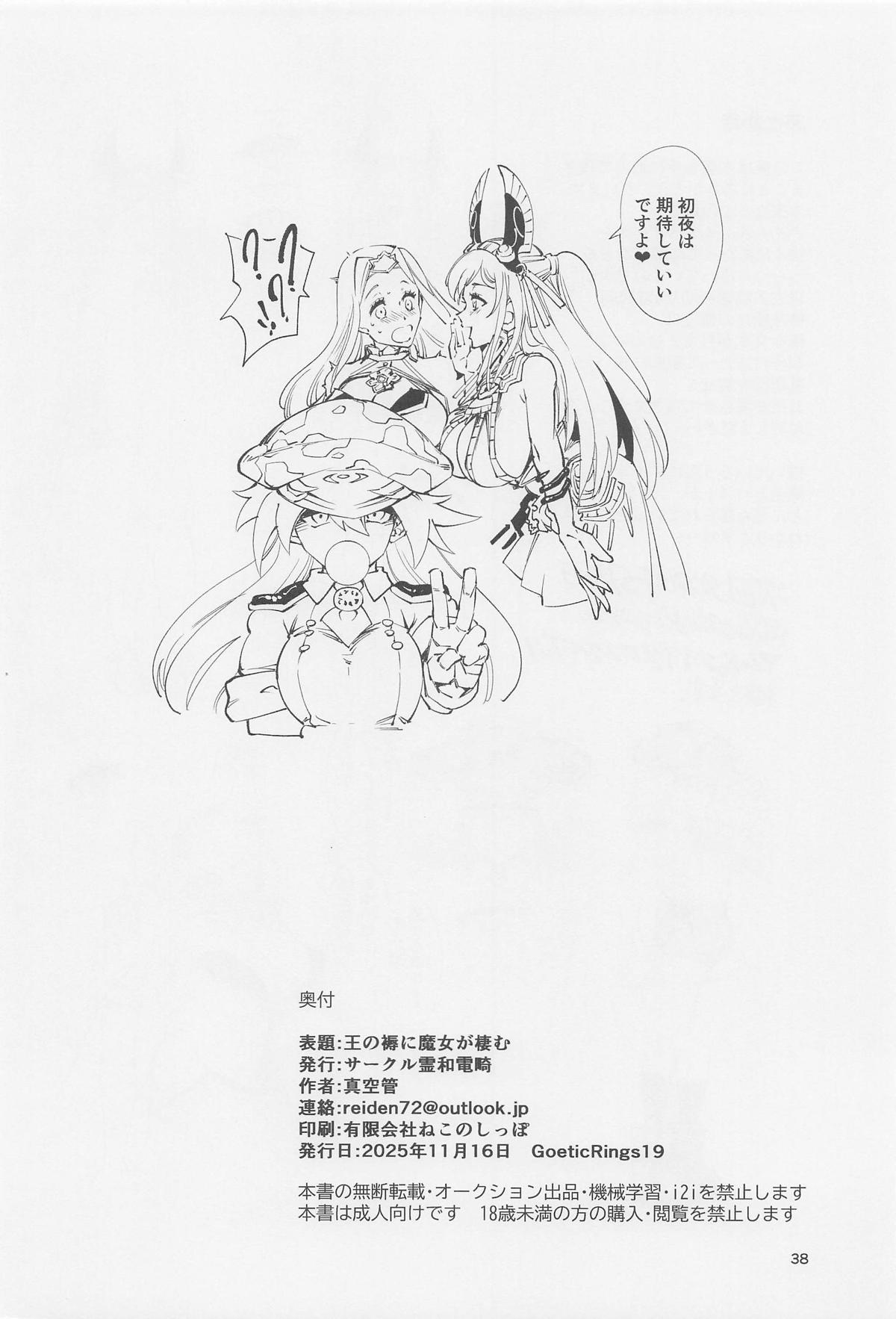 王の褥に魔女が棲む - Page 37
