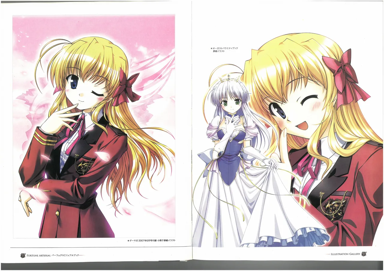 FORTUNE ARTERIAL PERFECT VISUAL BOOK - Page 12