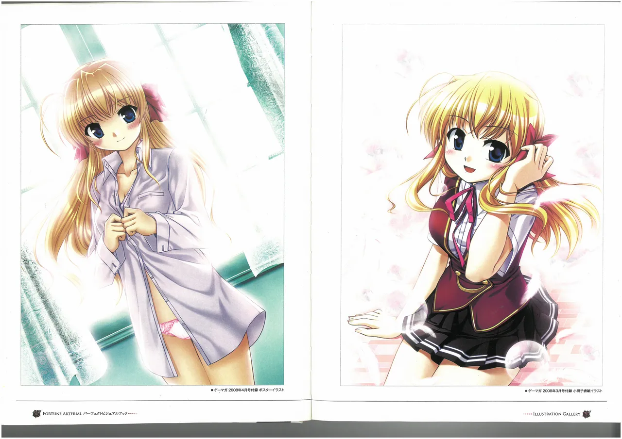 FORTUNE ARTERIAL PERFECT VISUAL BOOK - Page 13
