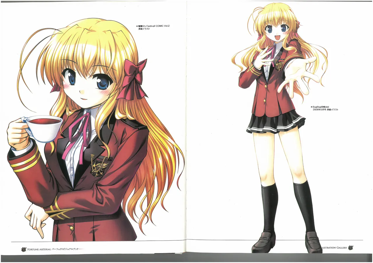 FORTUNE ARTERIAL PERFECT VISUAL BOOK - Page 9