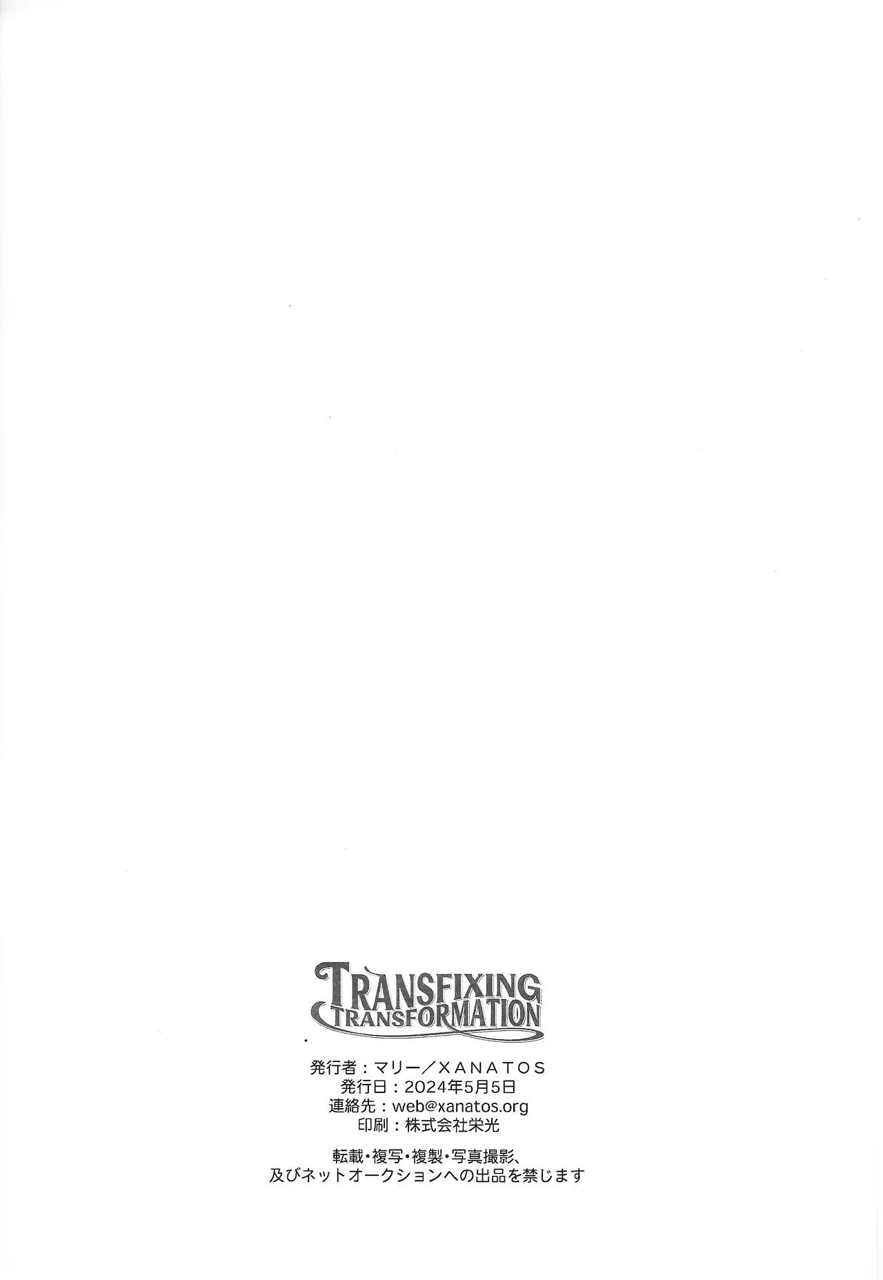 TRANSFIXING TRANSFORMATION - Page 23