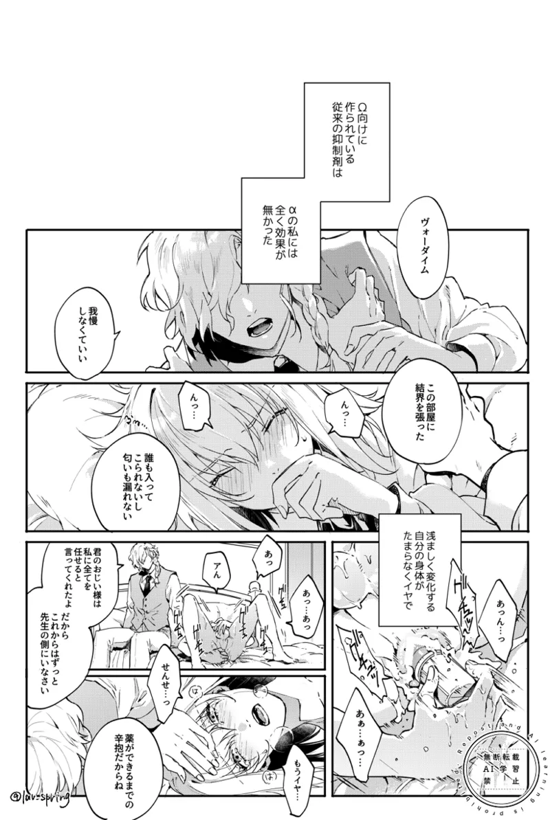 Lord Animusphere no Himitsu - Page 21