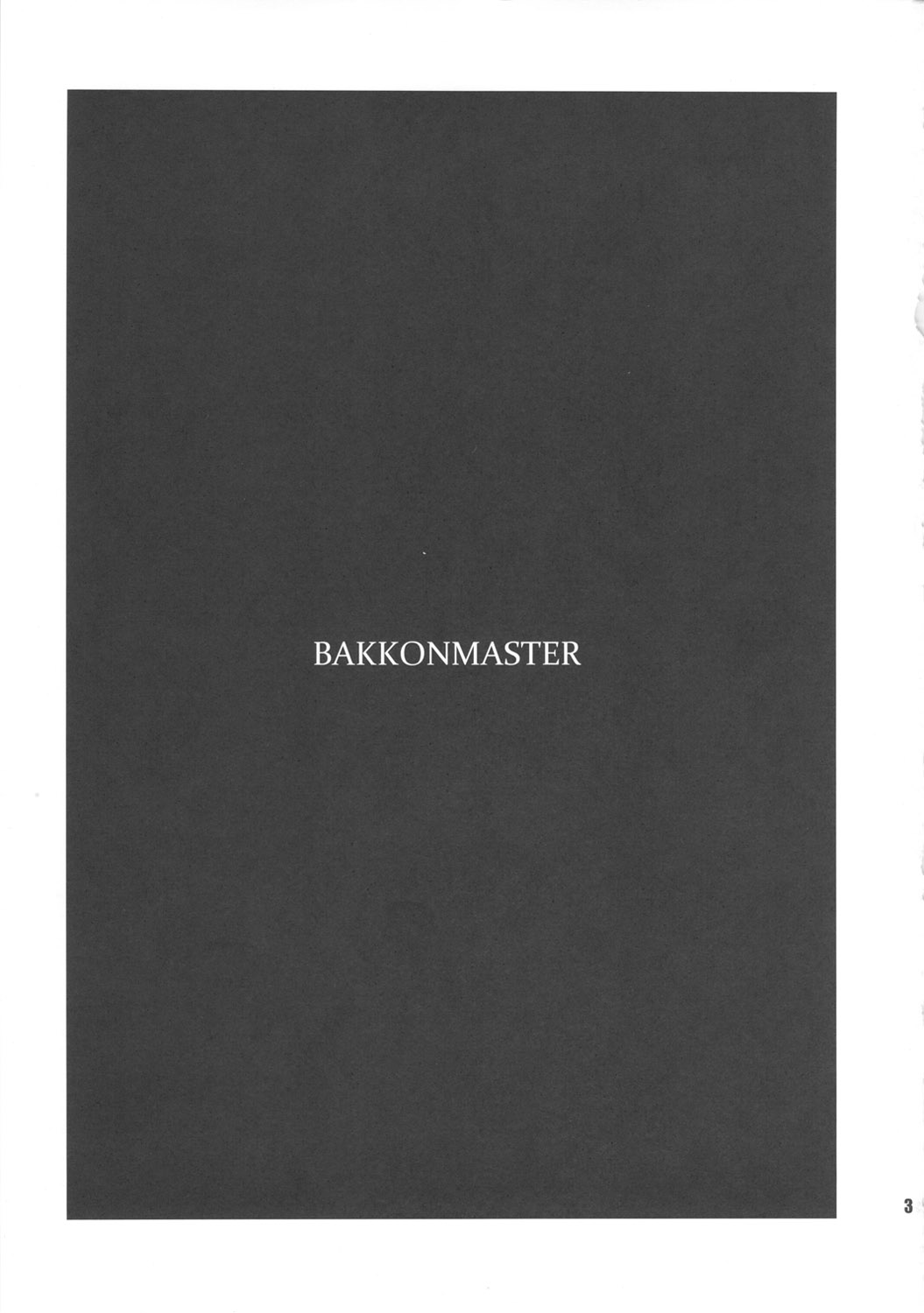 BakkonMaster - Page 2