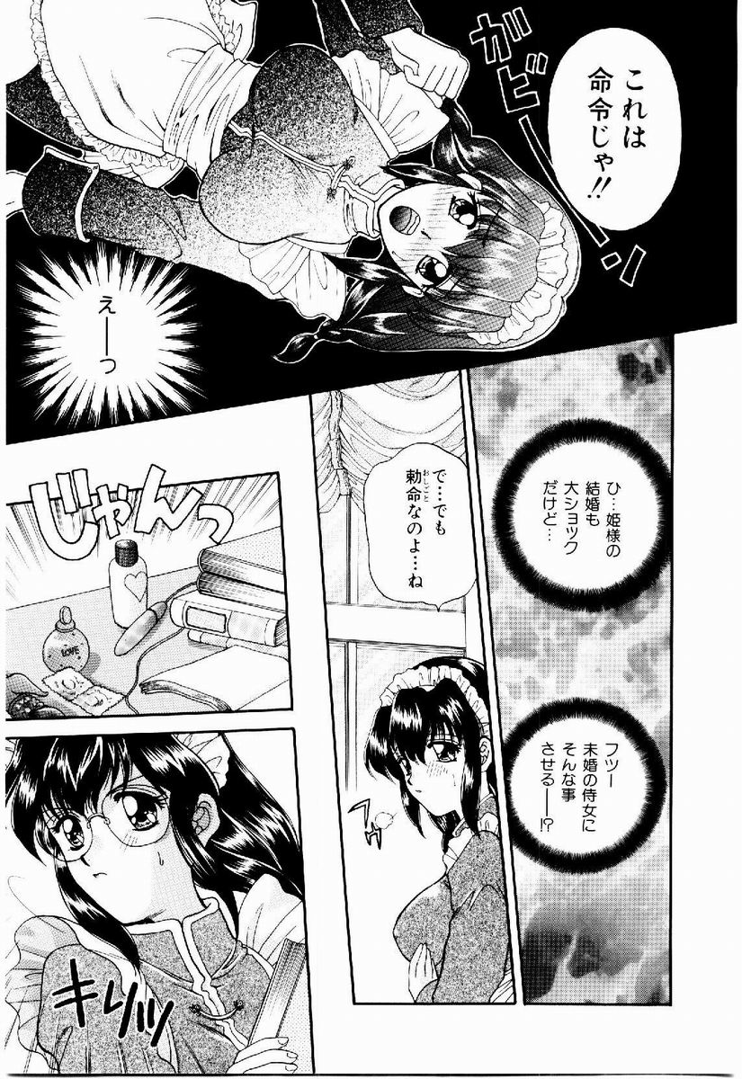 Maid in Princess - Page 13