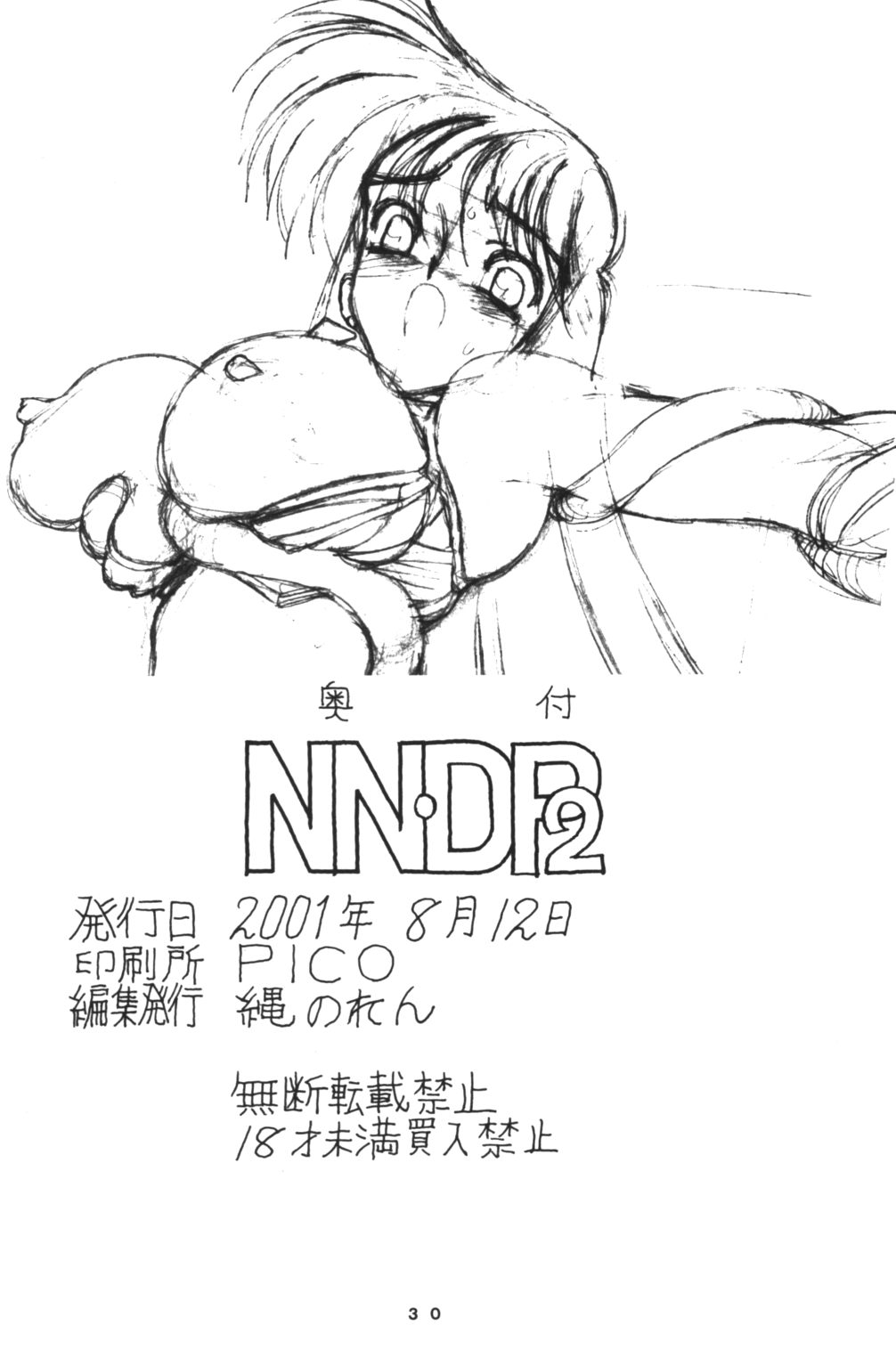 NNDP 2 - Page 29