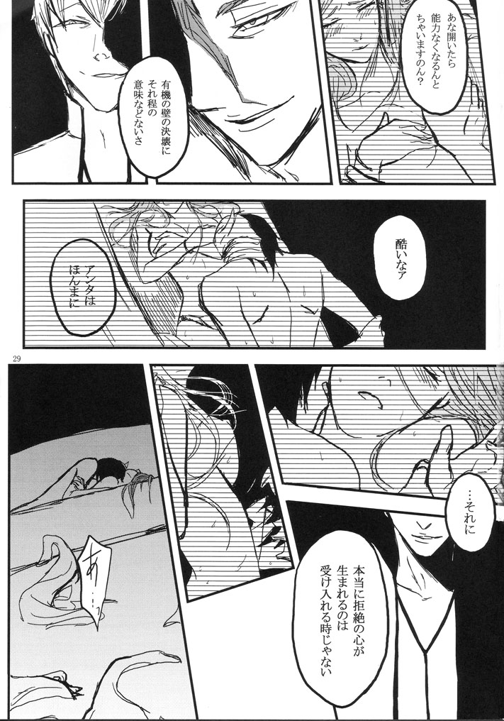 gira - Page 29