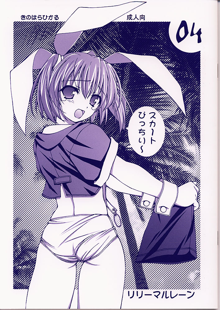 Preview page 1