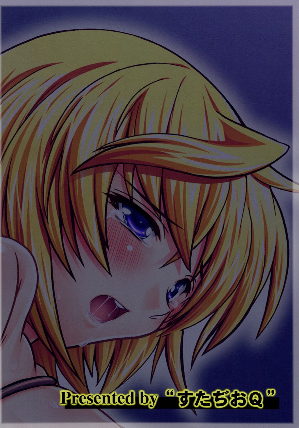 Seidorei Char - Page 18