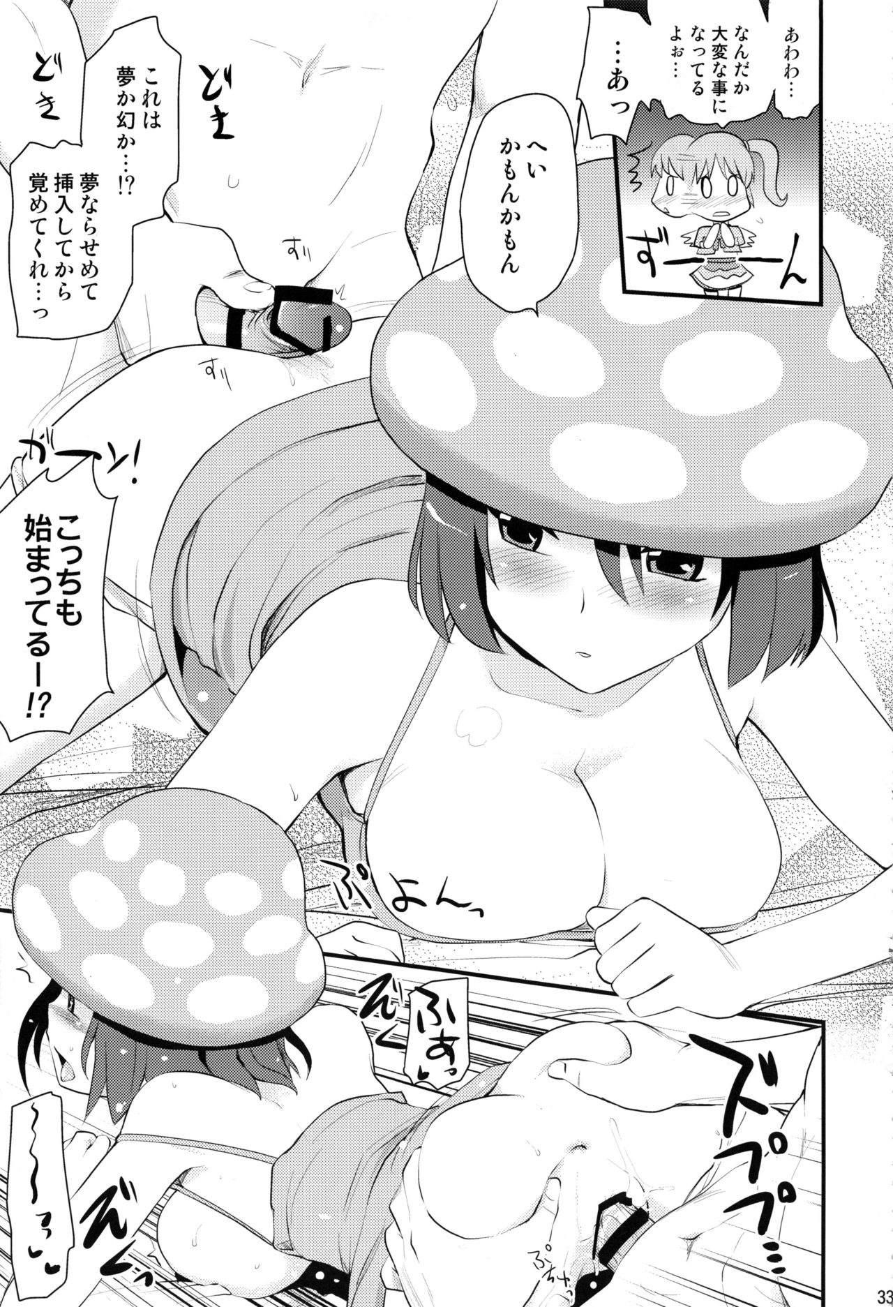 HPPP - Page 32