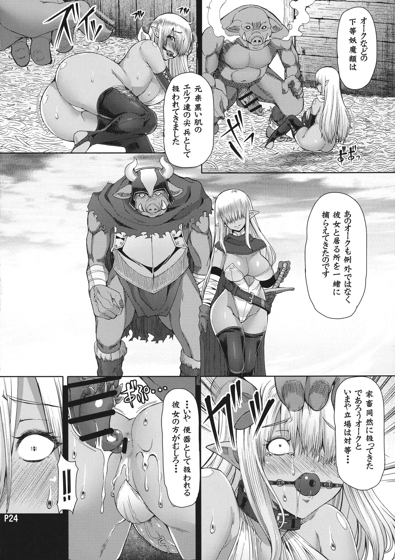 Ammobium - Page 26