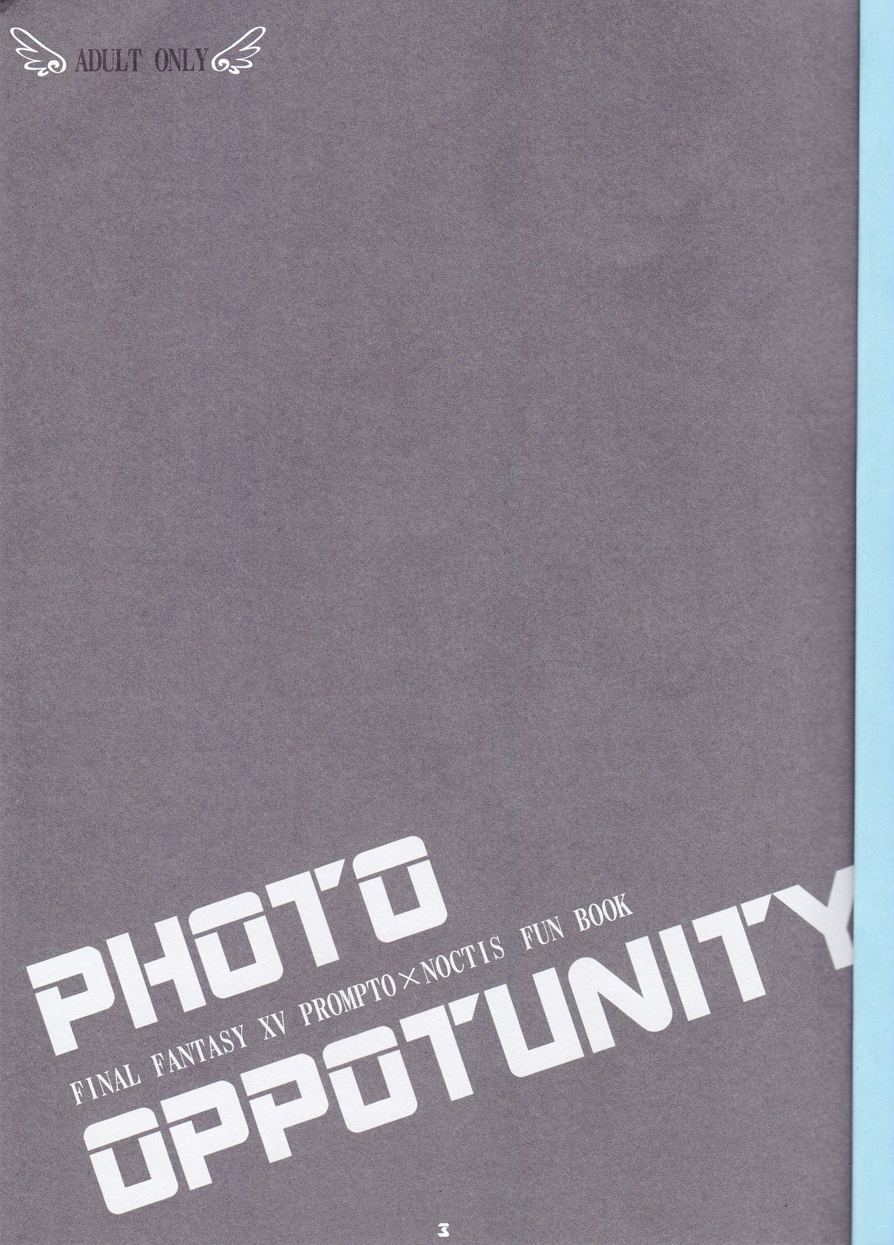 PHOTO OPPOTUNITY - Page 2