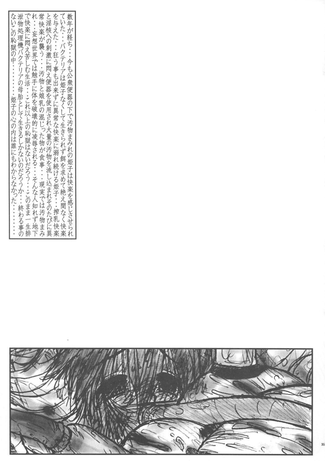 Hime Puchi - Page 34
