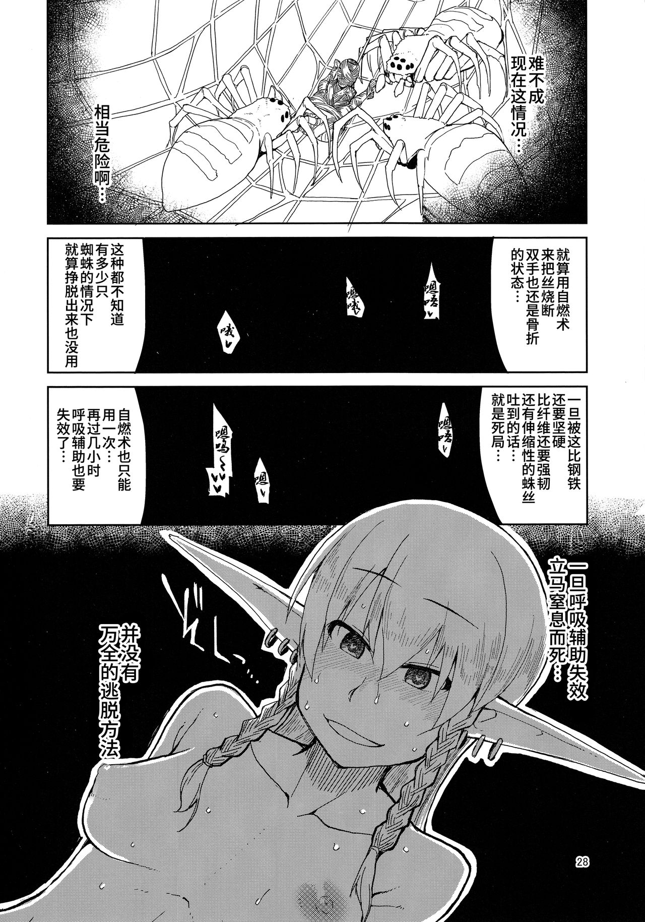 Dosukebe Elf no Ishukan Nikki 5 - Page 29