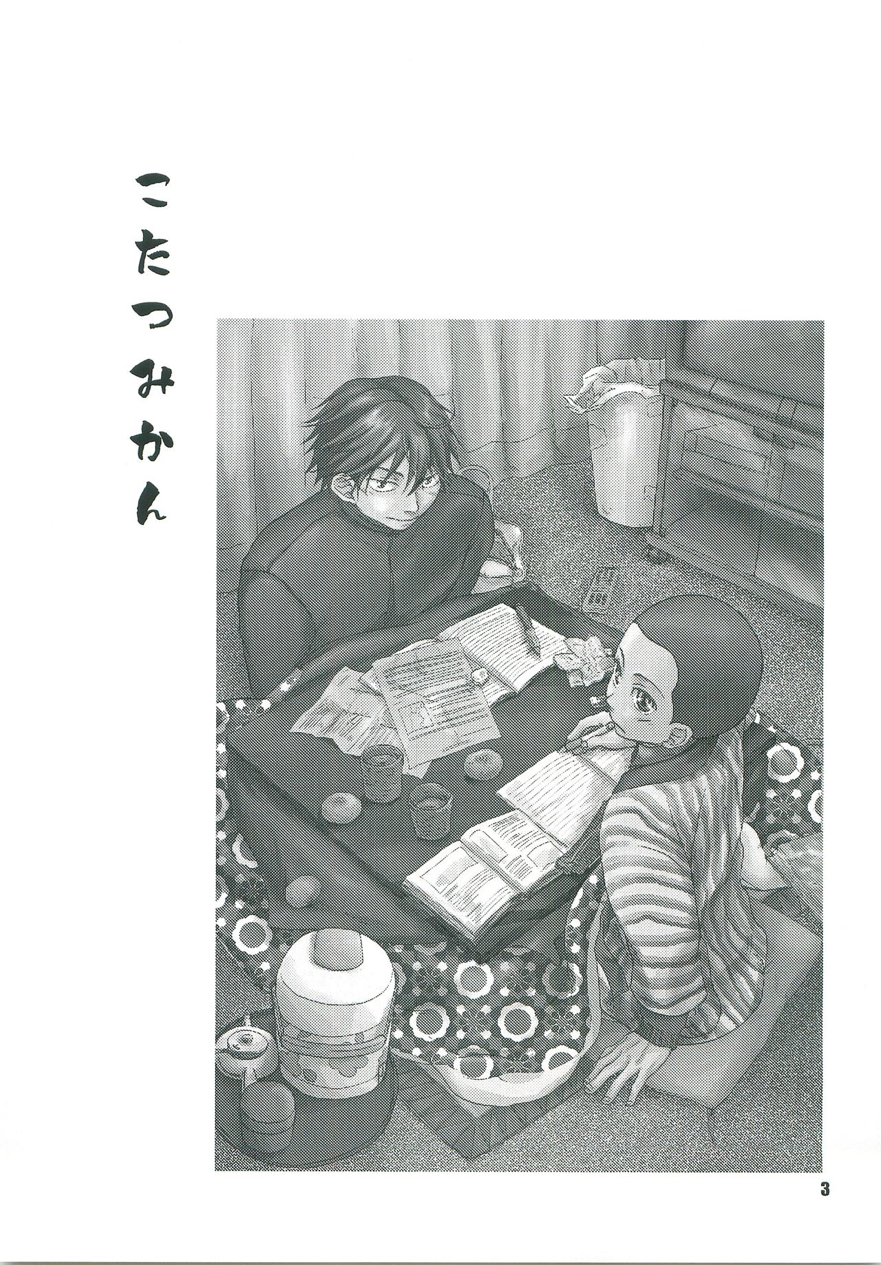 Preview page 2