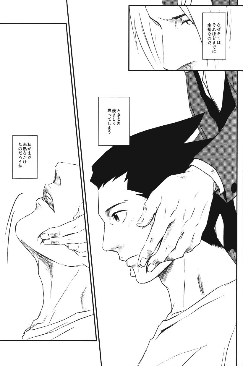 RASH Sairoku plus+ - Page 26