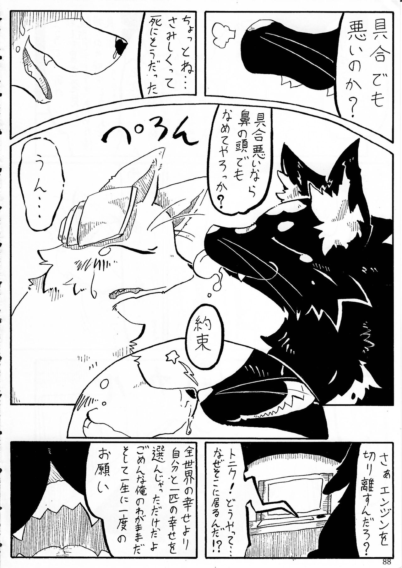 KTQ 5 - Page 75