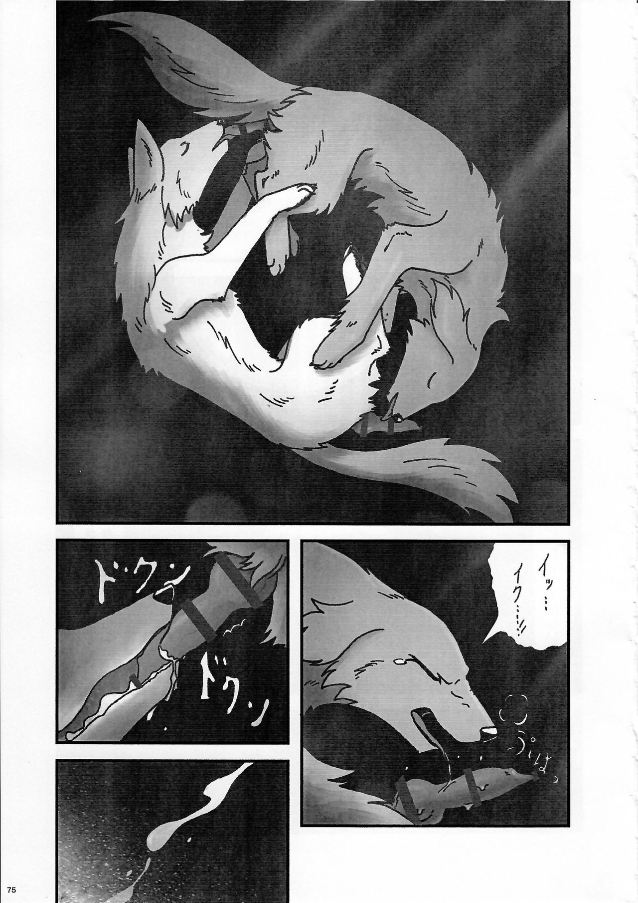 KTQ9 - Page 75