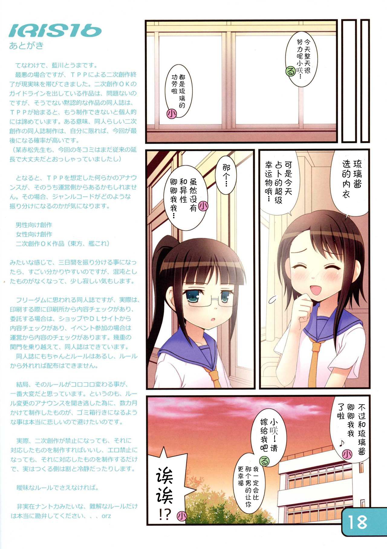 IRIS16 - Page 18