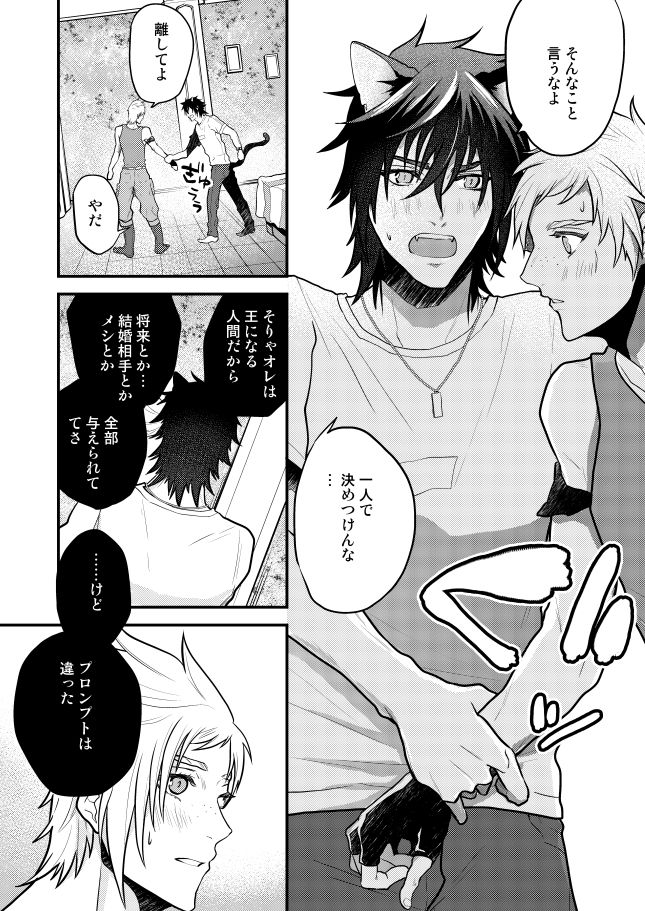 Lucis Cat Prince - Page 27