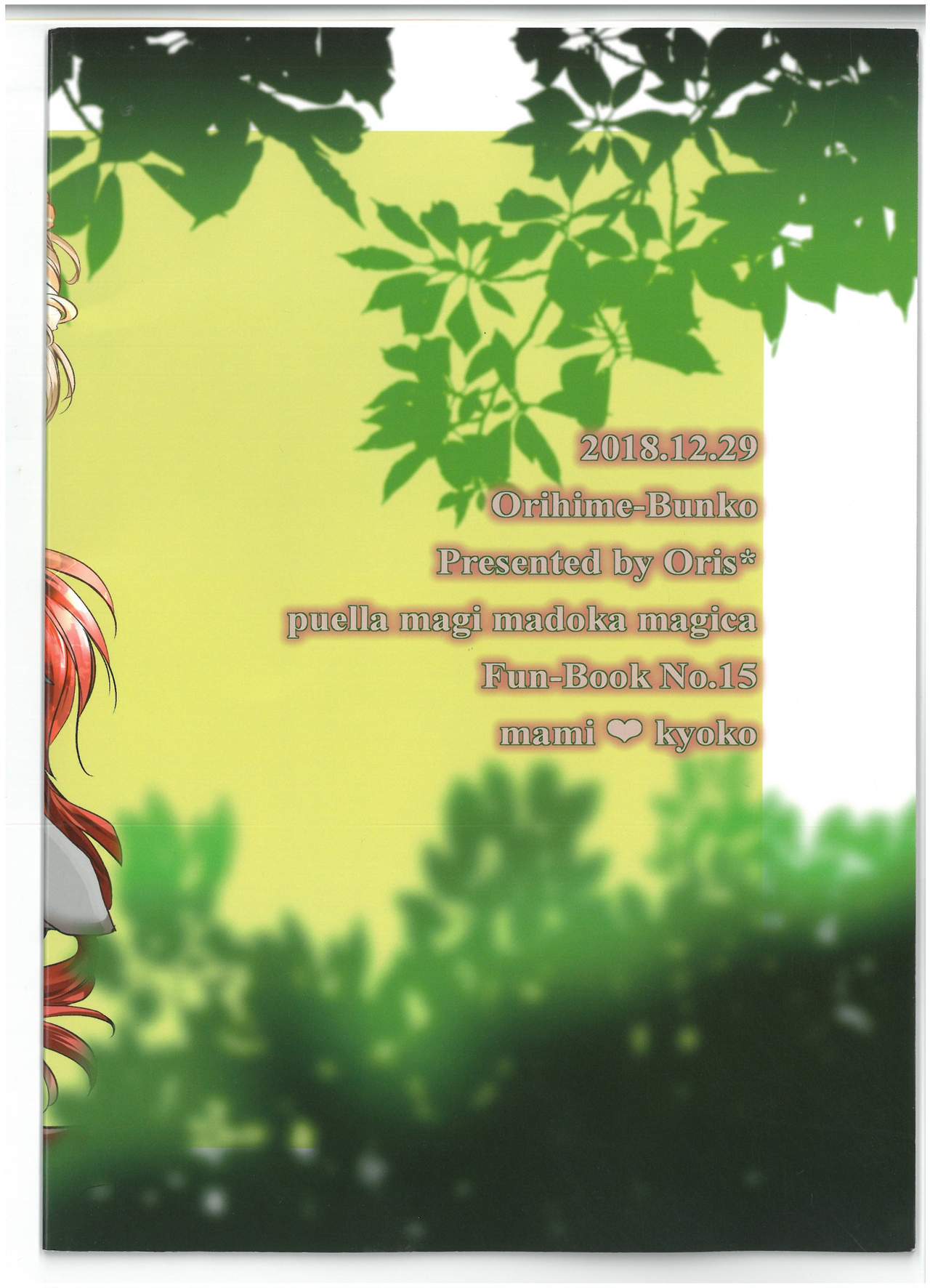Preview page 2