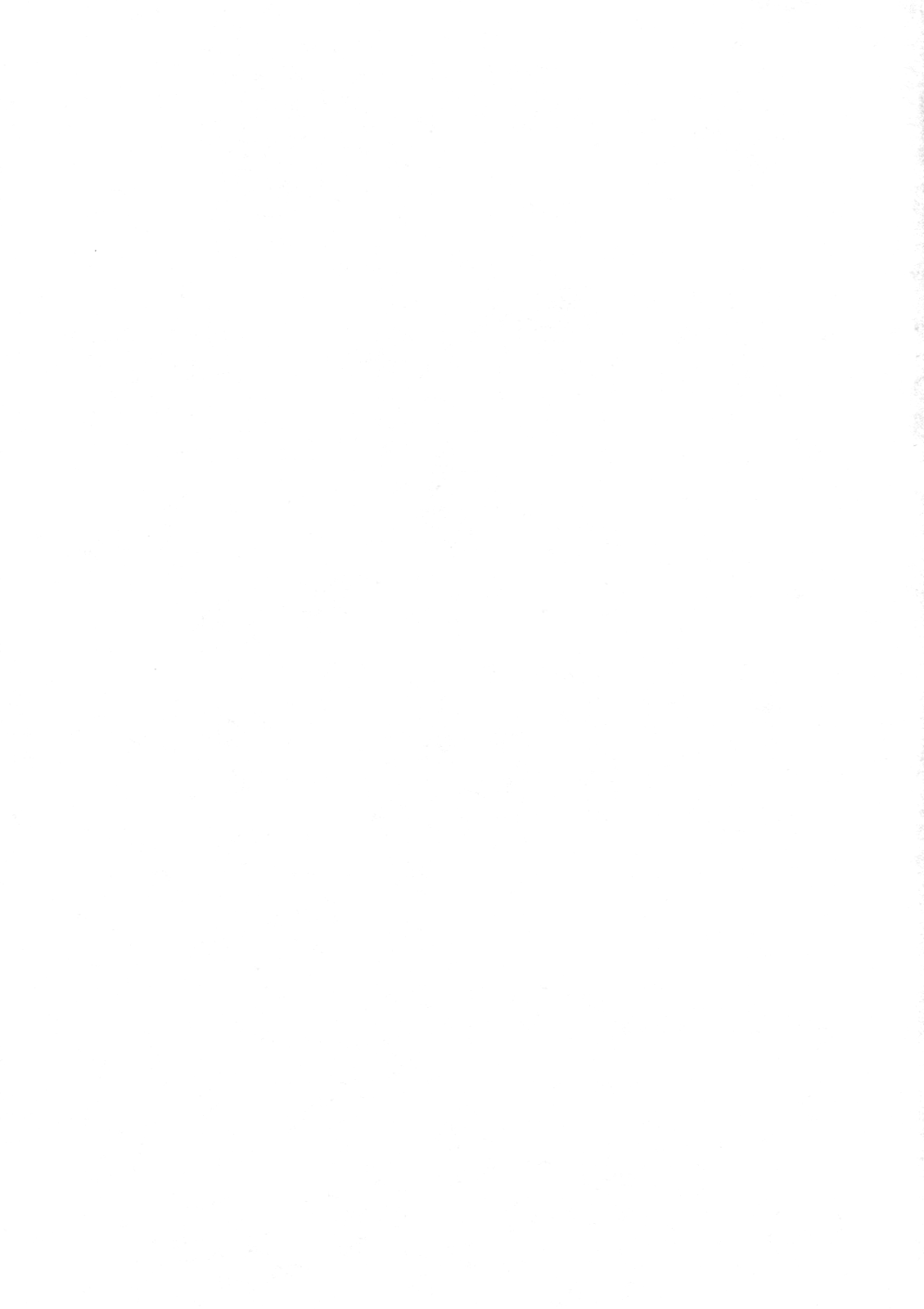 TOHO N+ MOON RACE - Page 2